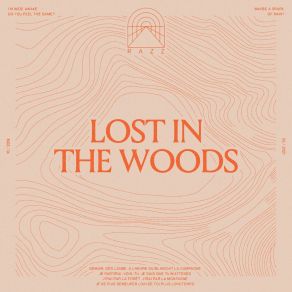 Download track Lost In The Woods Razz