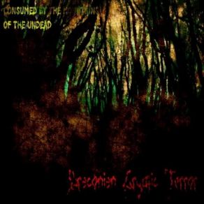 Download track Bloodstained Dreams Draconian Cryptic Terror