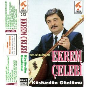 Download track Karanfil Suyu Neyler Ekrem Çelebi