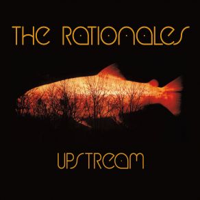 Download track Under The Gun The Rationales