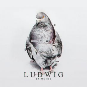 Download track Pidgeons Stimming