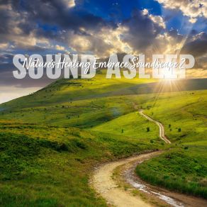 Download track Nature's Healing Embrace Soundscape, Pt. 12 Elijah Wagner