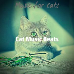 Download track Background For Resting Kittens Cat Music Beats