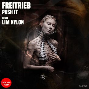 Download track Push It (Lim Nylon Remix) FreiTriebLim Nylon