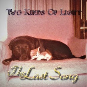 Download track The Last Song Two Kinds Of Light