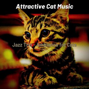 Download track Number One Backdrops For Cute Cats Attractive Cat Music