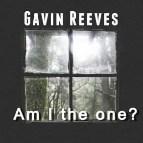 Download track Am I The One? (Radio Edit) Gavin Reeves