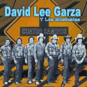 Download track Ay Que Sentimiento Traigo David Lee Garza, Los Musicales