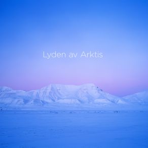 Download track Lyden Av Arktis: III. Himmelflokk Og Flukt (Himmelflokk Og Flukt) Christian Kluxen, Arktisk Filharmoni