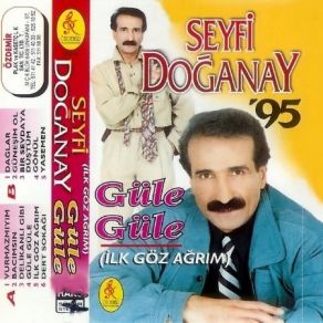 Download track Güle Güle Git Seyfi Doğanay