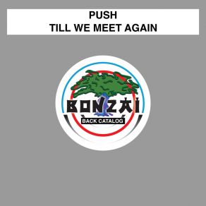 Download track Till We Meet Again (Transcendental Mix) Push