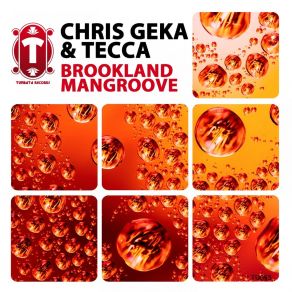 Download track Mangroove Chris Gekä