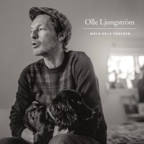 Download track Du Vill Va Min Olle Ljungström