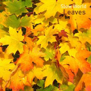 Download track Covered With Leaves Slow World