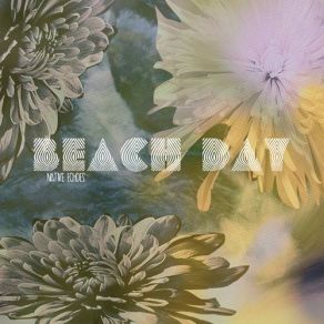 Download track How Do You Sleep At Night Beach Day