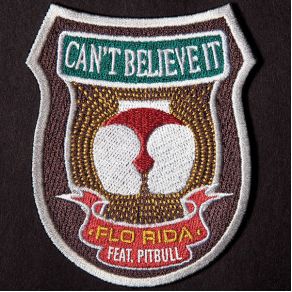 Download track Cant Believe It Flo Rida, Pitbull