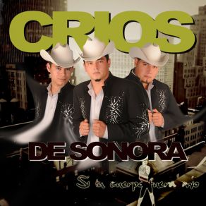 Download track Te Aplacas O Te Aplaco Los Crios De Sonora