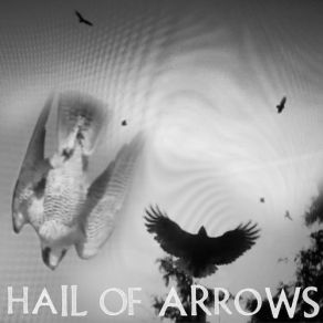 Download track Forming Alliances Among Animals, Protecting The Land Hail Of Arrows