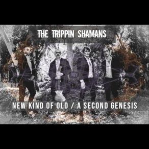 Download track A Second Genesis The Trippin Shamans