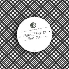 Download track A Breath Of Fresh Air (Deep Fusion Reprise Mix) Those Boys