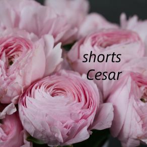 Download track Shorts Cesar