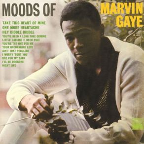 Download track I Worry 'Bout You Marvin Gaye