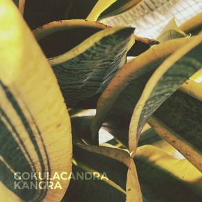 Download track Kangra Gokulacandra