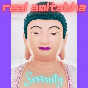 Download track Every Kind Of Enjoyment Real Amitabha