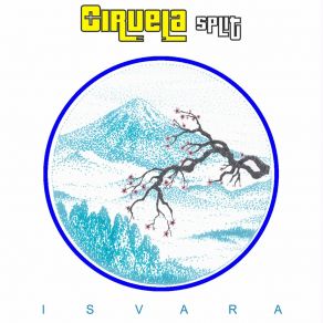 Download track Sunglasses Ciruela Split