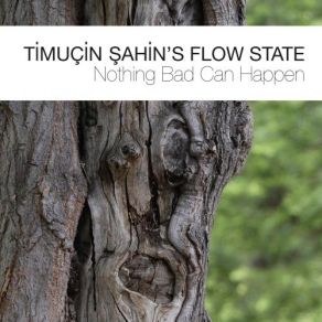 Download track Flow State, Part I- Sns Timucin Sahin's Flow State