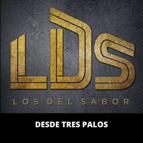 Download track El Guayabo / La Bogotana / El Viejo Del Sombrerón Los Del Sabor LDS