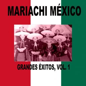 Download track Lindas Mexicanas Mariachi Mexico De Pepe Villa