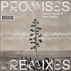 Download track Promises (David Guetta Extended Remix) Sam Smith, Calvin Harris