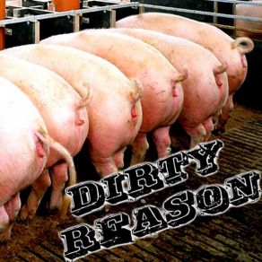 Download track Dirty Reason - Bush Waste Dirty Reason