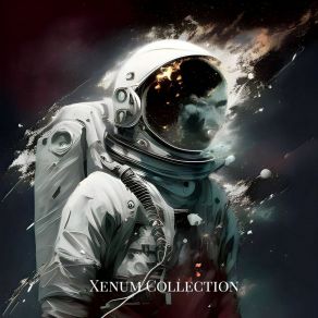 Download track Space Inversion Xenum