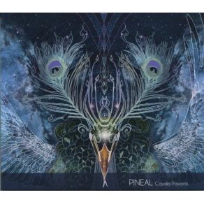 Download track Prime Numbers Pineal