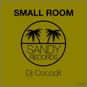 Download track Small Room Dj Cocodil