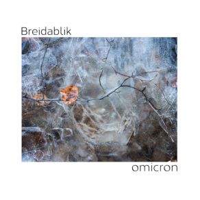 Download track Omicron Pt. II Breidablik