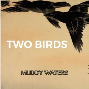 Download track Hey, Hey Muddy Waters