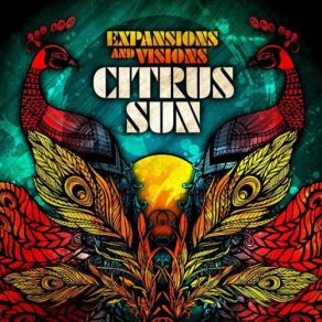 Download track Future Visions Citrus Sun