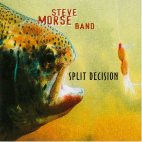 Download track Great Mountain Spirits Steve Morse Band