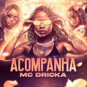 Download track Seu Pau Vacilou Mc Dricka