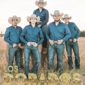 Download track Amandote Los Dorados