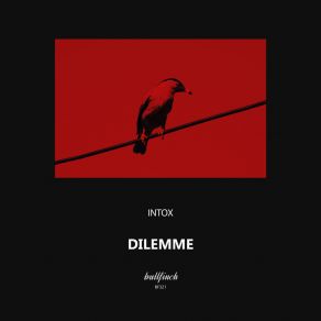 Download track Dilemme Intox