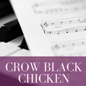 Download track Crow Black Chicken The New Lost City Ramblers