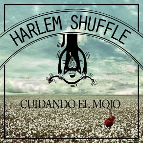 Download track Cinco Estrellas Harlem Shuffle