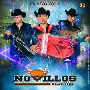 Download track Estoy Enamorado (En Vivo) Novillos De La Sierra