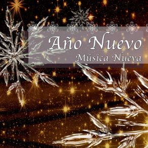 Download track Piano Concerto No. 1 In B-Flat Minor Op. 23 (Piano & Garden Sounds) Christmas SongsThe Christmas Masters
