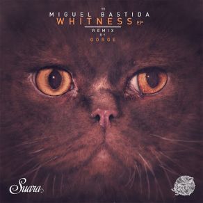 Download track Wench (Original Mix) Miguel Bastida