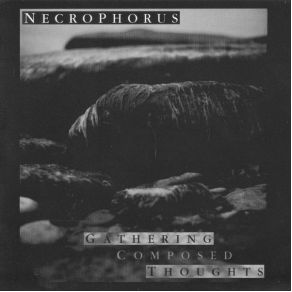 Download track The Dormant Being Necrophorus